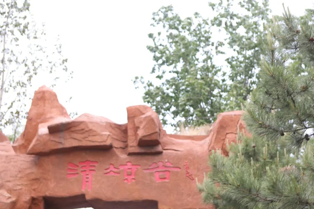 立足當“夏”，覓清涼 