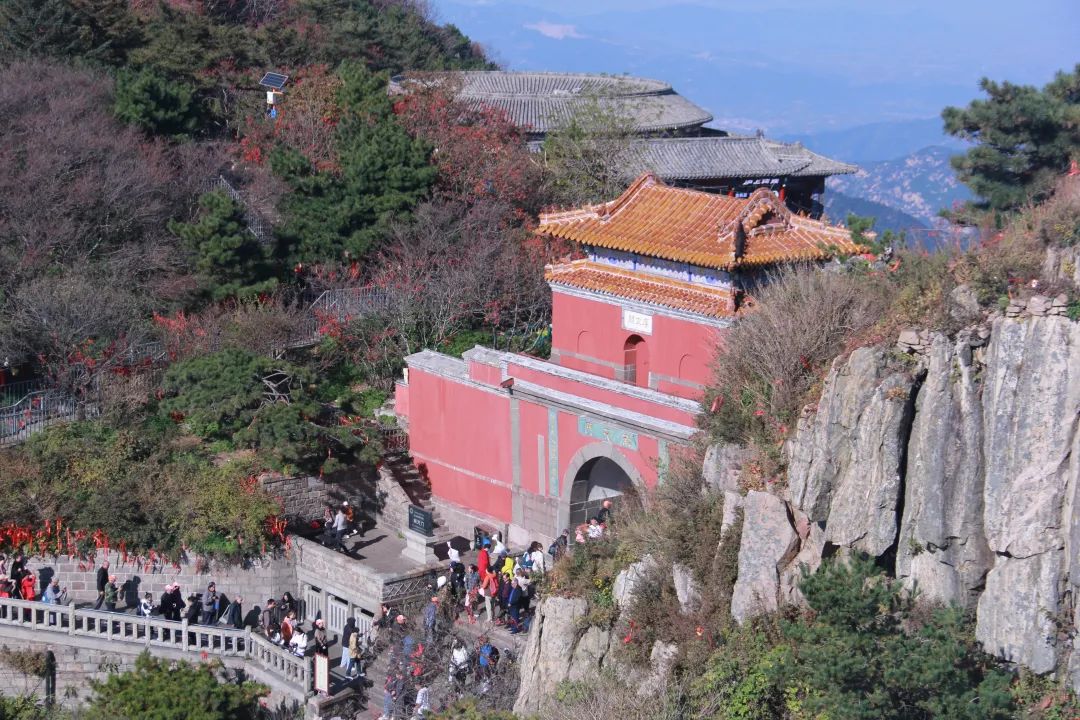 我們一起，頂峰相見 